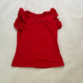 Ruffle Sleeve Blouse